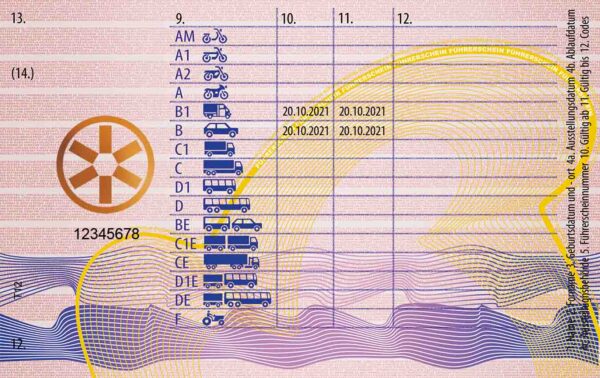 Austrian Driving license-2