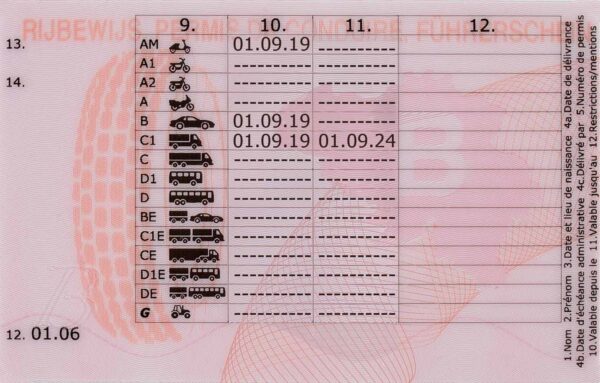 Belgian driving licence back