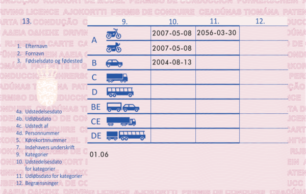 Danish driving licence - Image 2