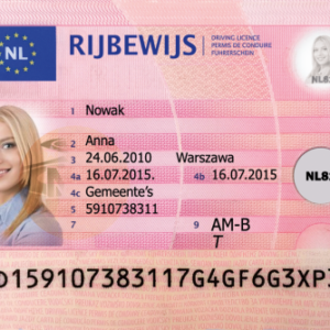 Dutch Driving License (German Drivers License) front