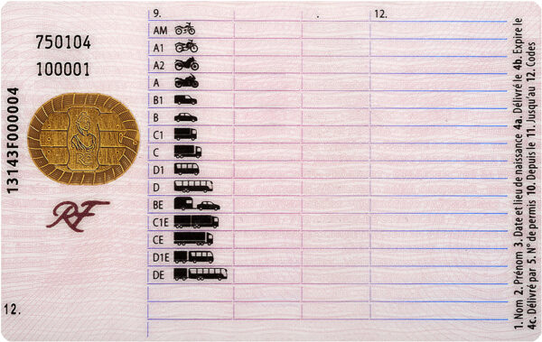 French driving licence back