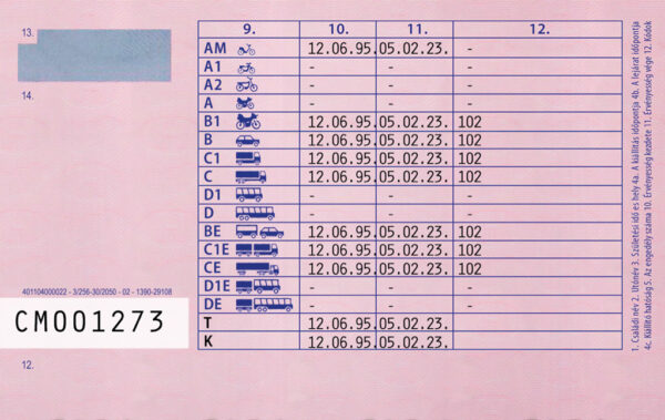 Hungarian Driving License back