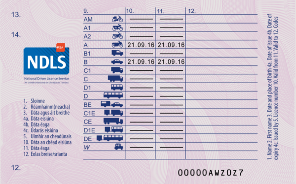 Irish Driving license back