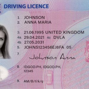 New UK Driving licence Card 1