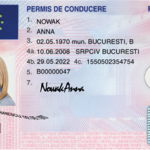 Romanian Driving Licence1