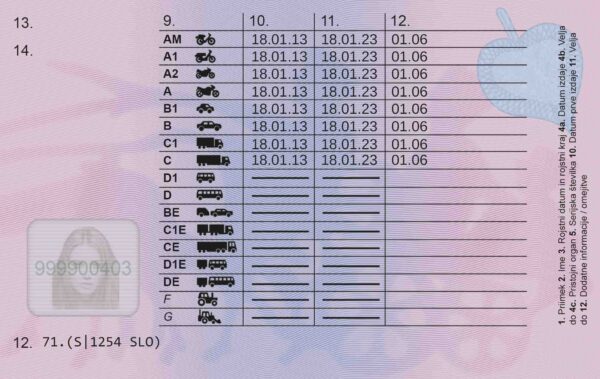 Slovenian Driving License back