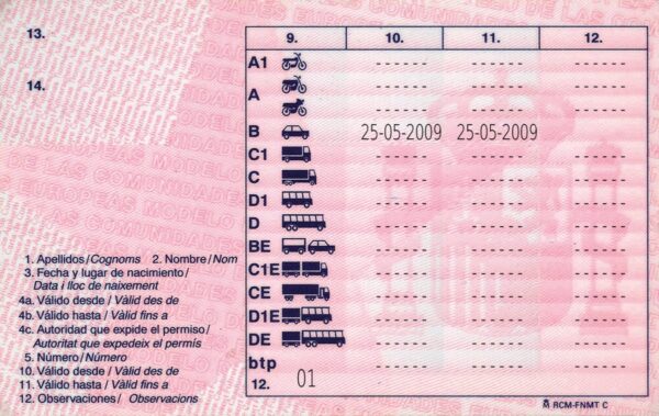 Spanish driving licence back