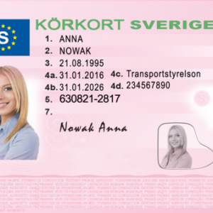 Swedish driving license 1