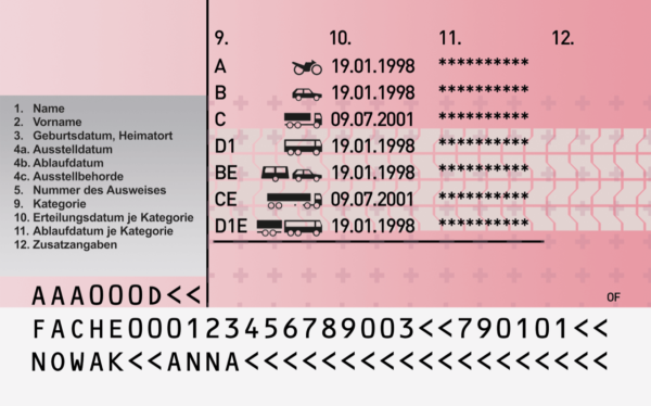 Swiss Driving license - Image 2