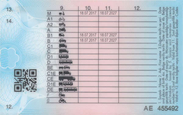 Turkish Driving license back