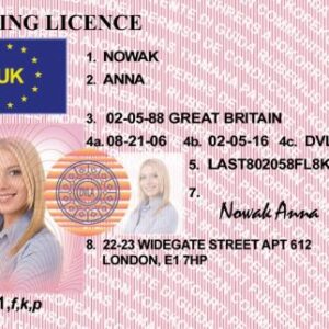 UK Driving licence Old Card 1