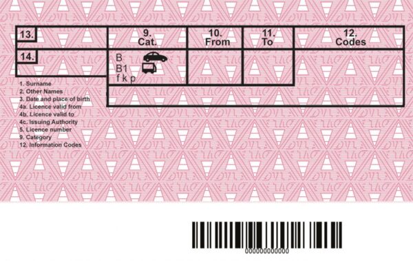 UK Driving licence Old Card 2